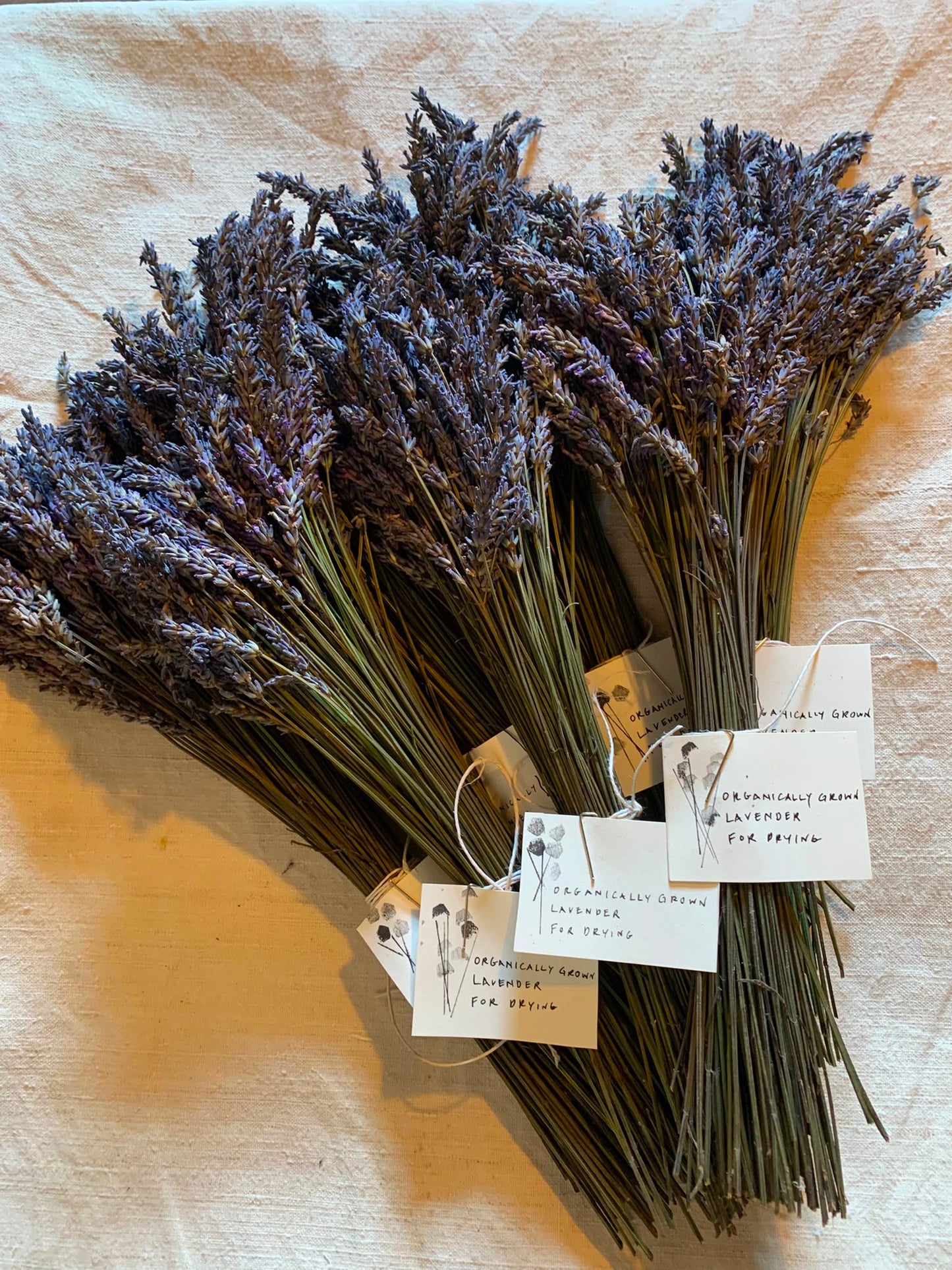 Lavender bundle