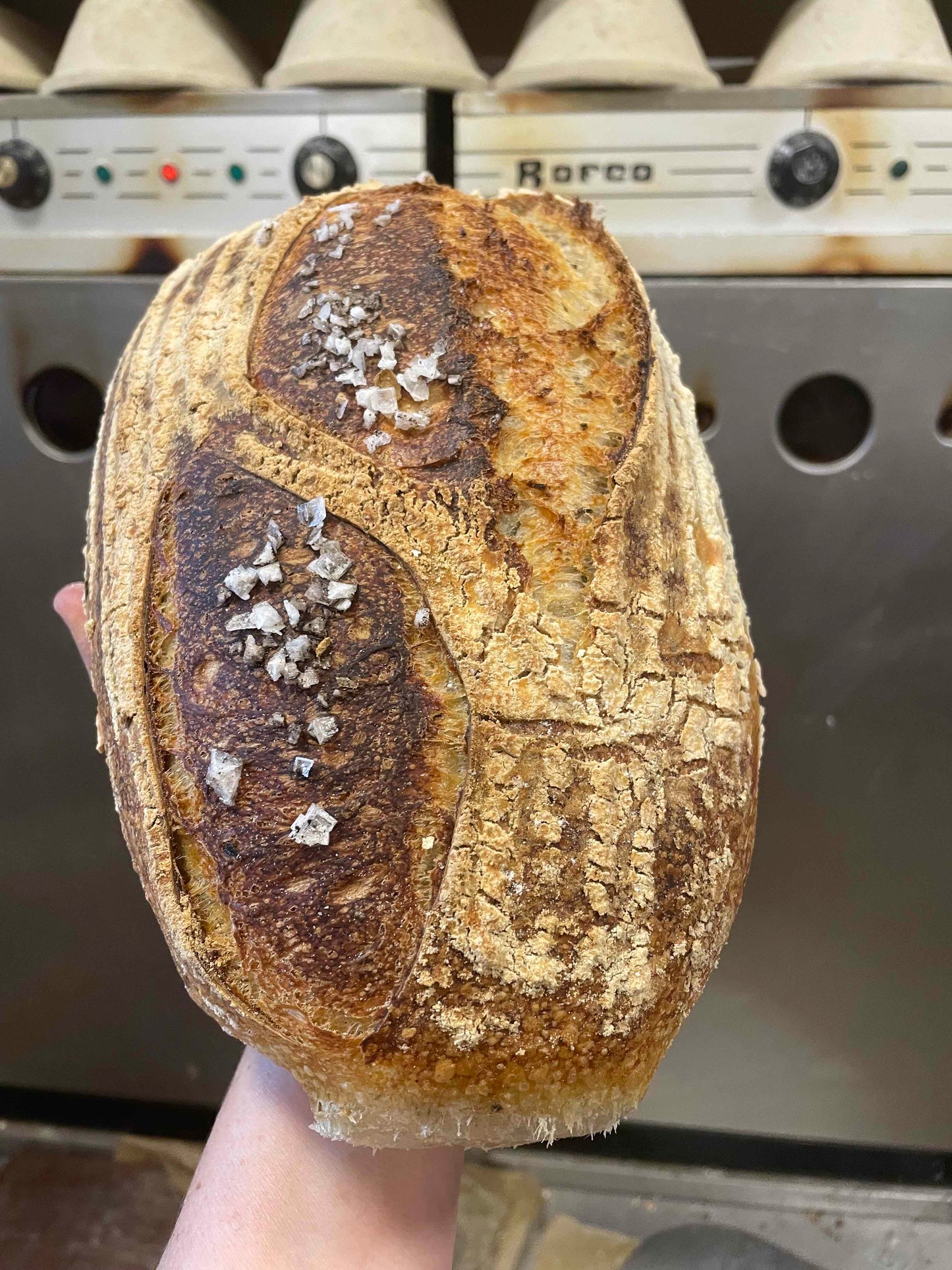 Pan marino