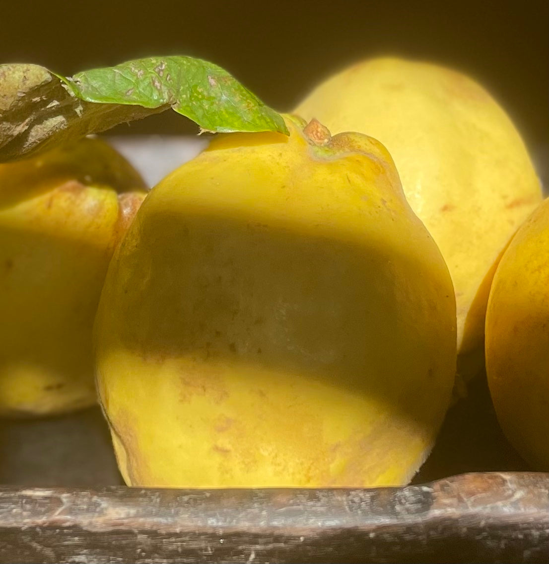 Quince & almond cake