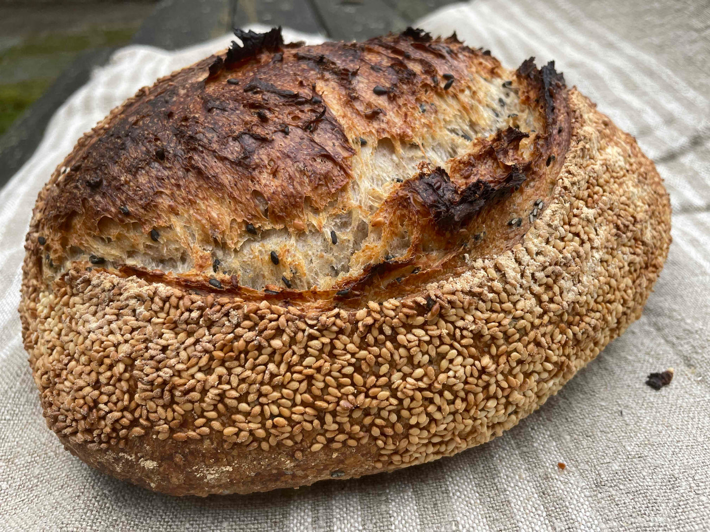 Black & white sesame sourdough
