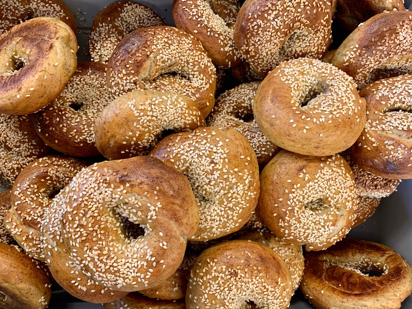 Bagel