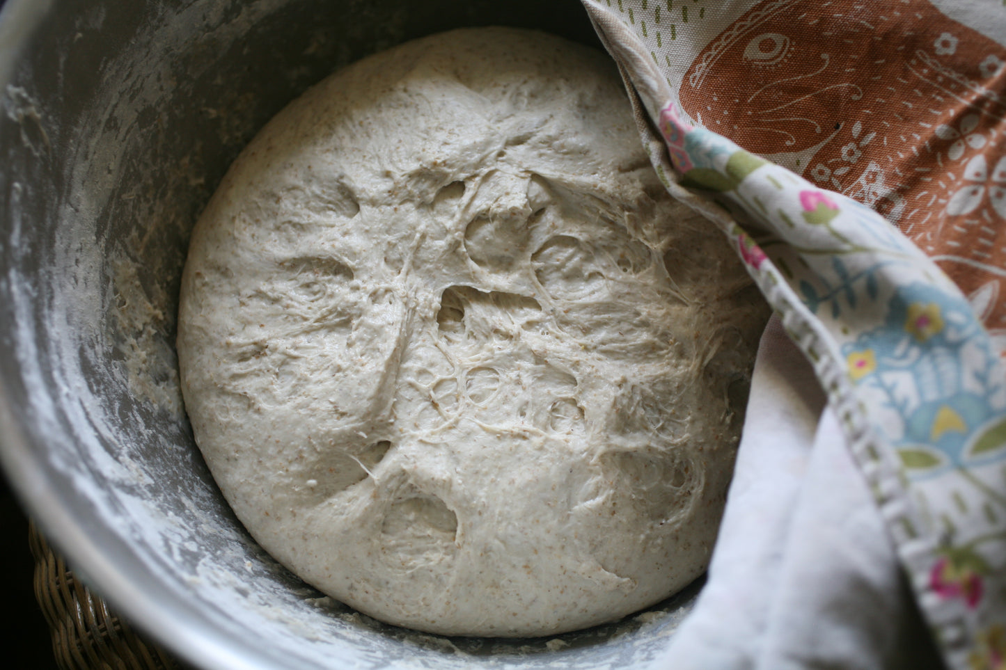 Introduction to sourdough bread
