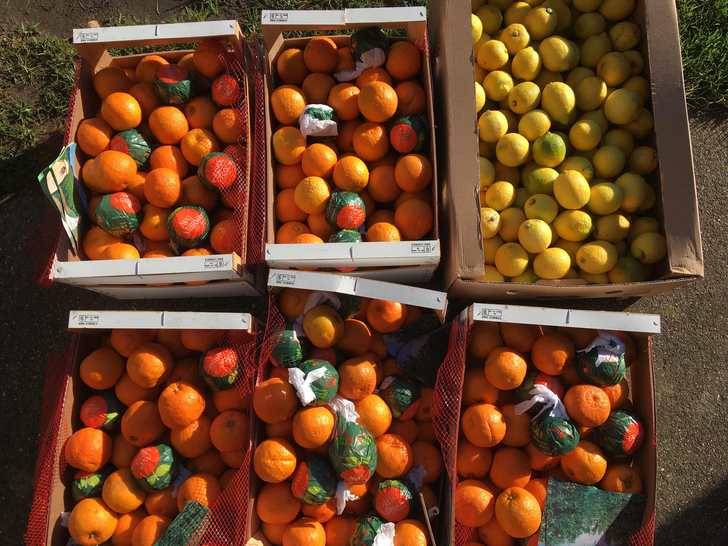 Organic seville orange marmalade