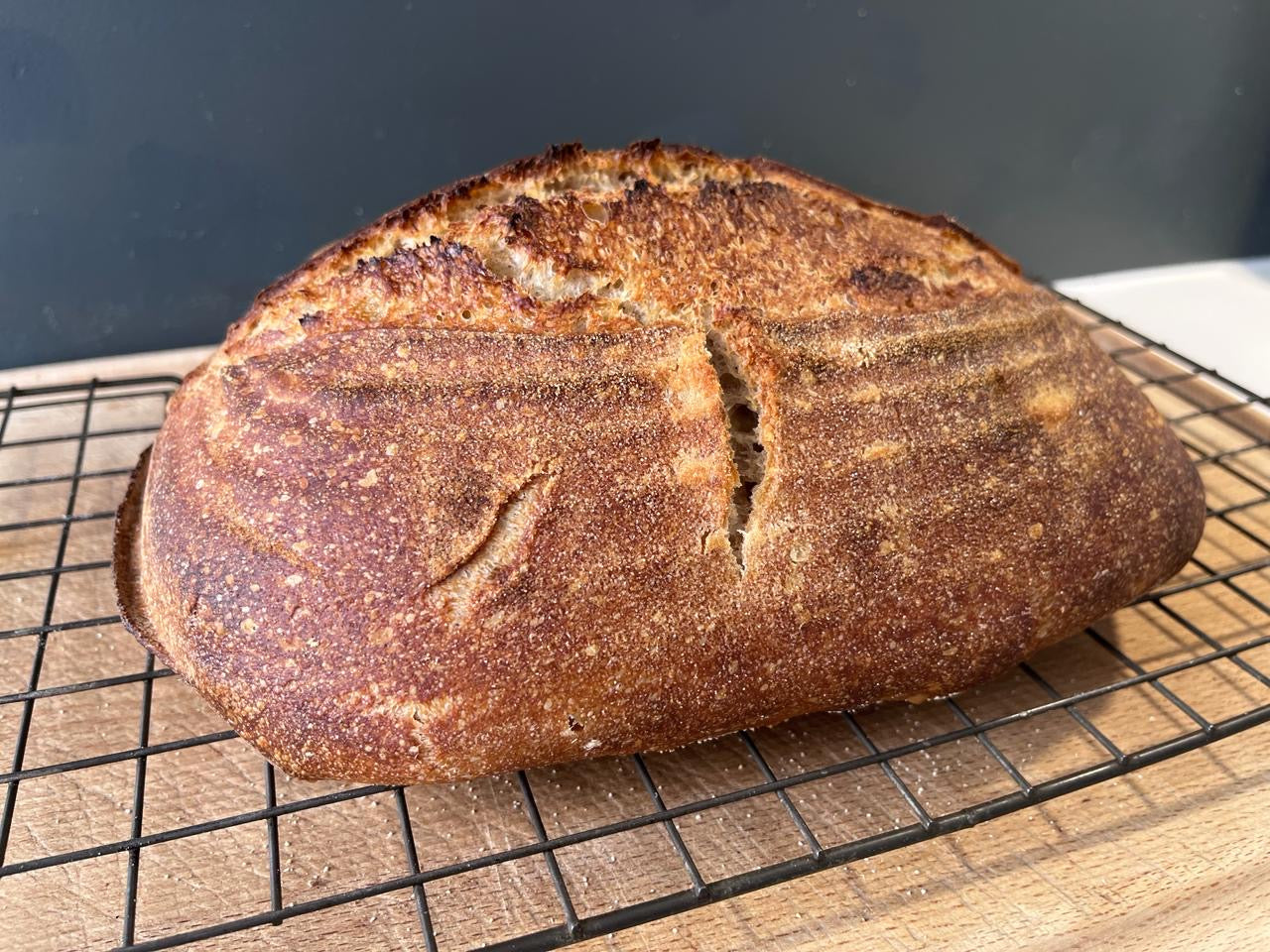Introduction to sourdough bread