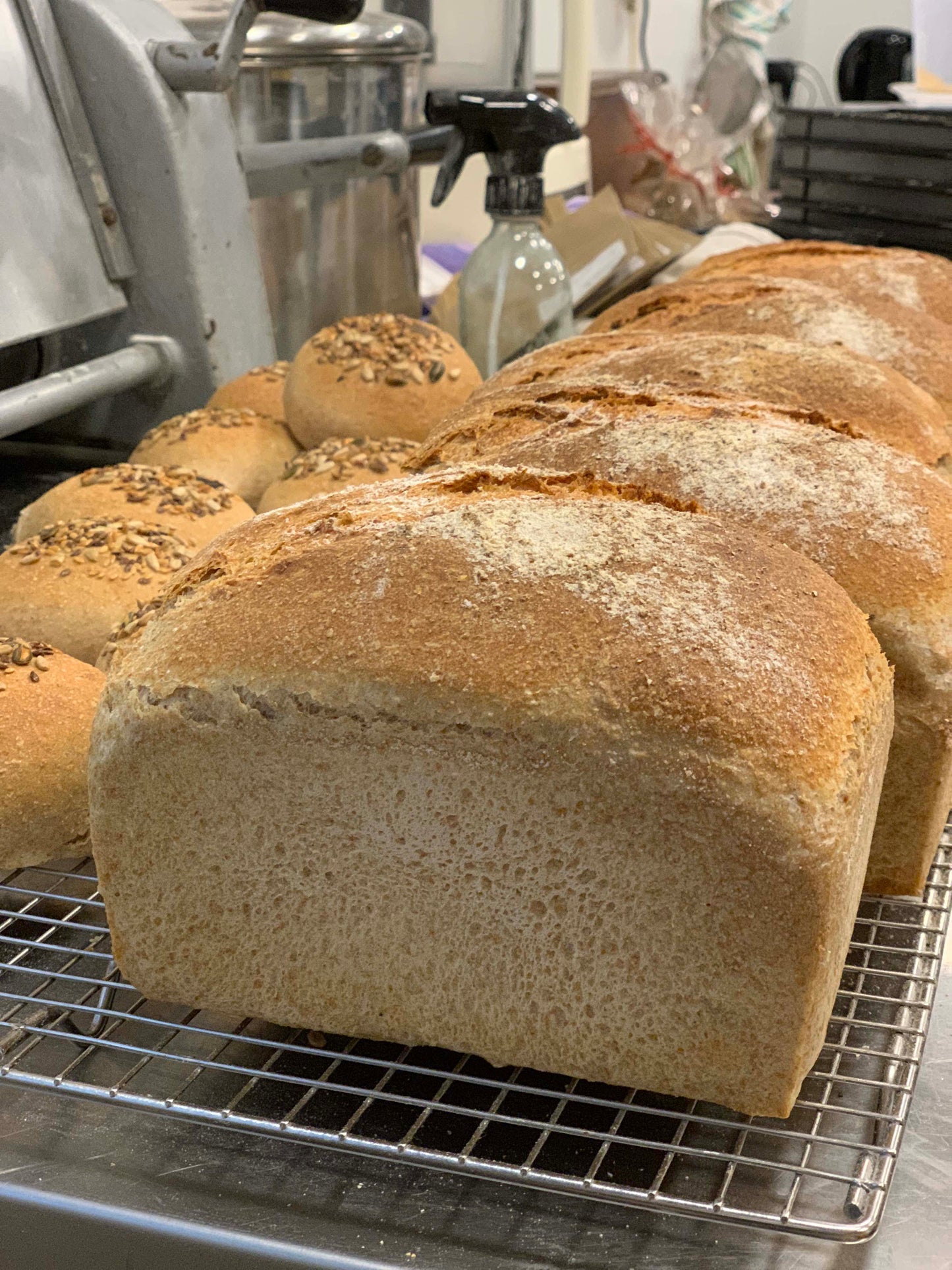 Wholemeal tin with sunflower seeds