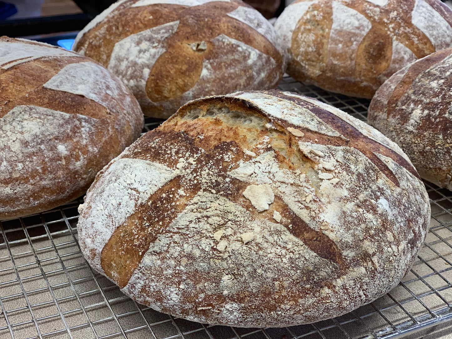 Potato & thyme sourdough