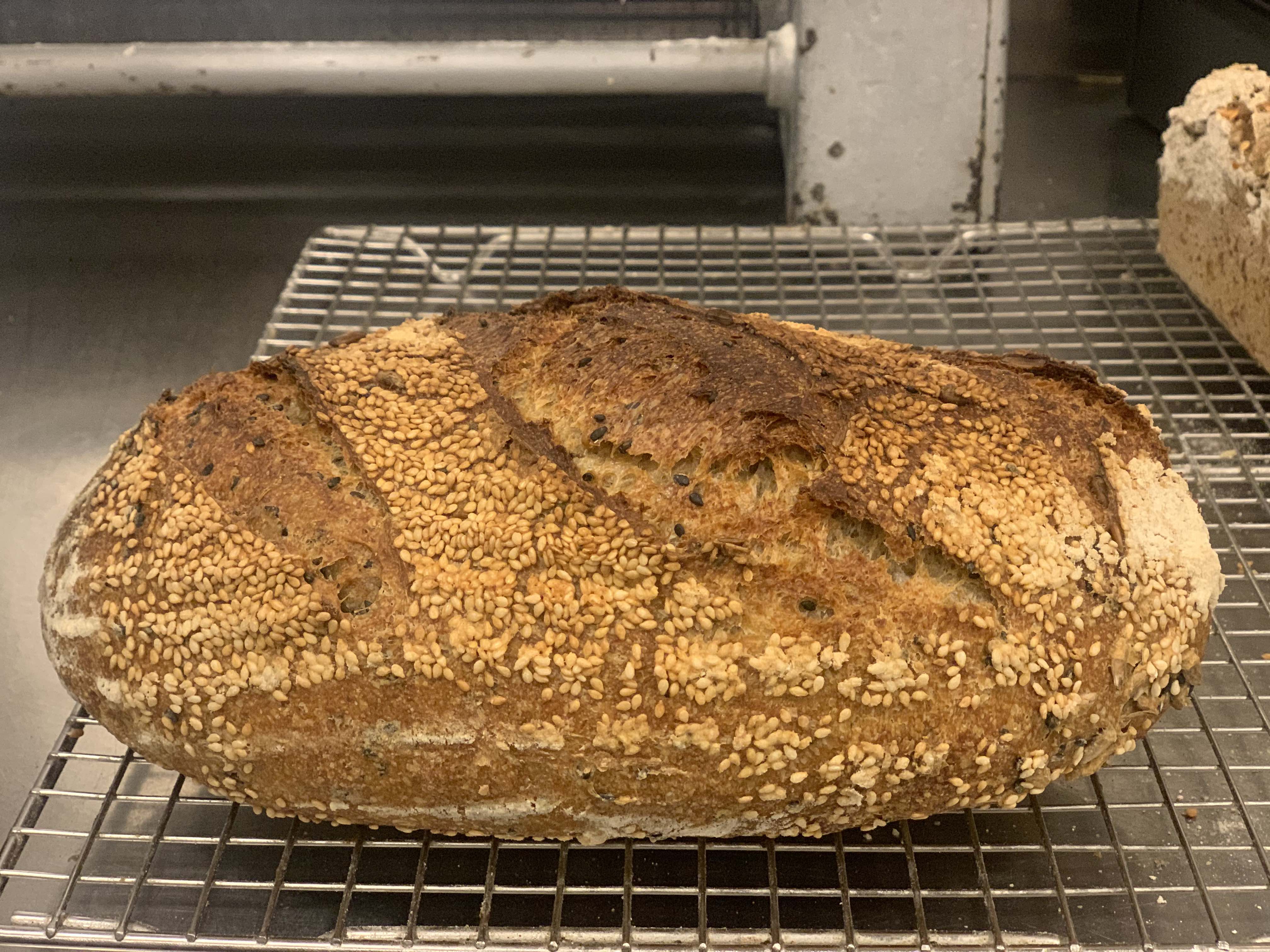 Sesame Seed Sourdough Bread at Will Cornish blog